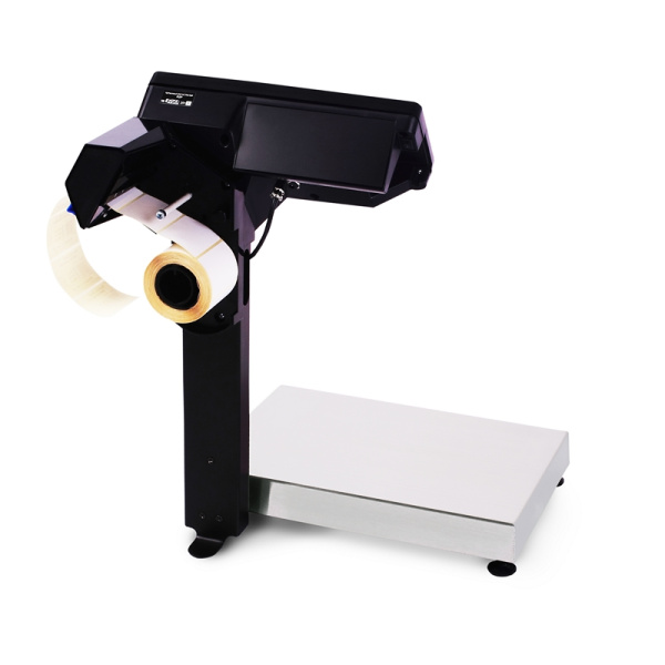 Весы электронные регистраторы Масса-К МК-15.2-RP-10